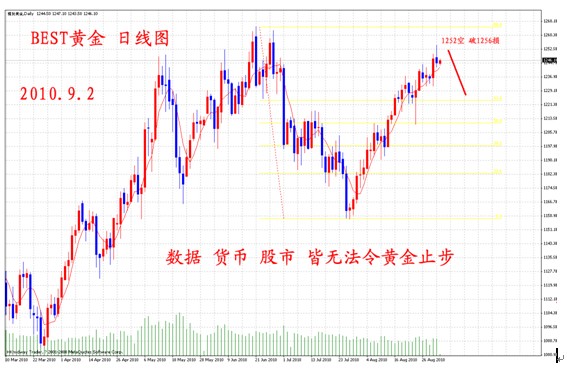 新闻图片2010821517141283411834890_6332.jpg